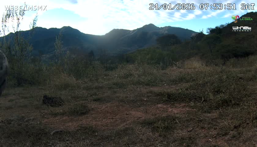 Rancho La Onza Bordo Natural Park Live Cam - San Luiz de la Paz, Guanajuato, Mexico