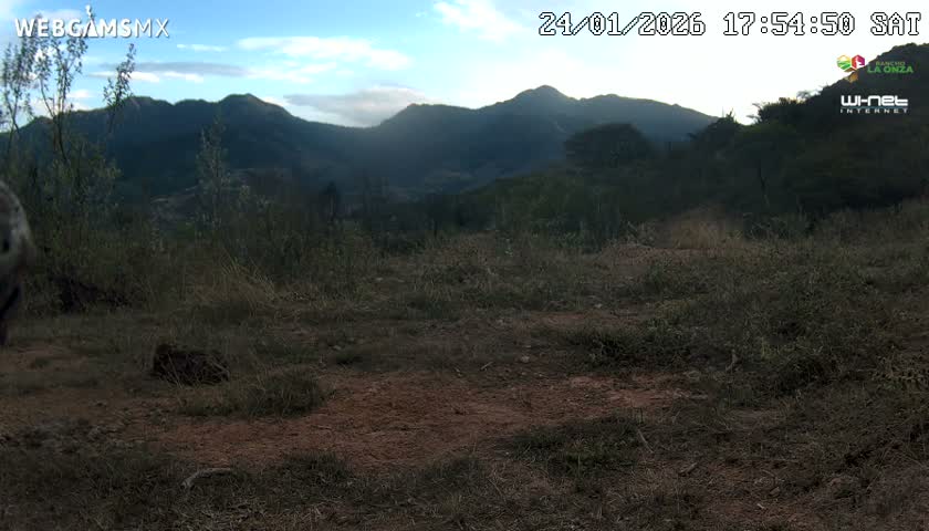 Rancho La Onza Bordo Natural Park Live Cam - San Luiz de la Paz, Guanajuato, Mexico