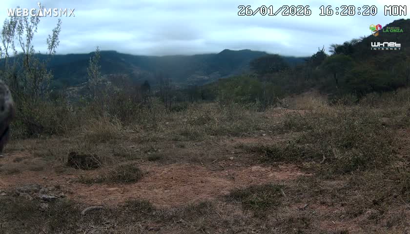Rancho La Onza Bordo Natural Park Live Cam - San Luiz de la Paz, Guanajuato, Mexico