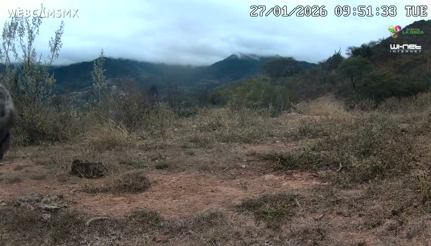 Rancho La Onza Bordo Natural Park Live Cam - San Luiz de la Paz, Guanajuato, Mexico