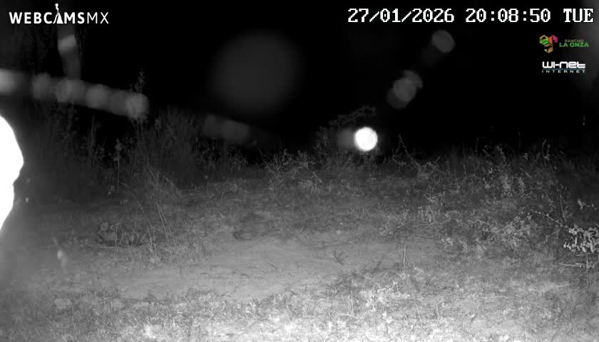Rancho La Onza Bordo Natural Park Live Cam - San Luiz de la Paz, Guanajuato, Mexico
