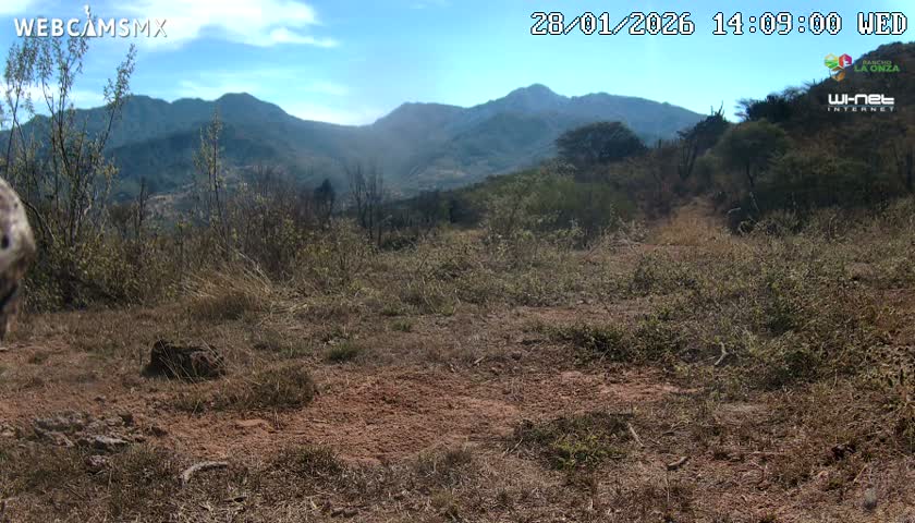 Rancho La Onza Bordo Natural Park Live Cam - San Luiz de la Paz, Guanajuato, Mexico