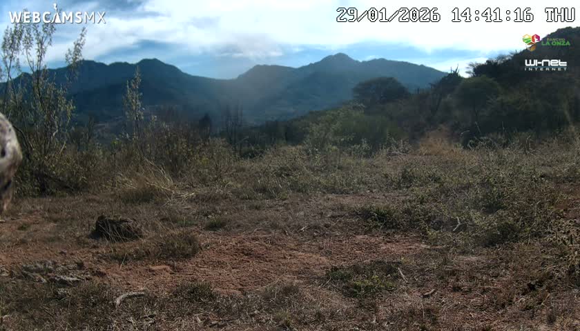 Rancho La Onza Bordo Natural Park Live Cam - San Luiz de la Paz, Guanajuato, Mexico