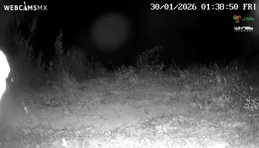 Rancho La Onza Bordo Natural Park Live Cam - San Luiz de la Paz, Guanajuato, Mexico