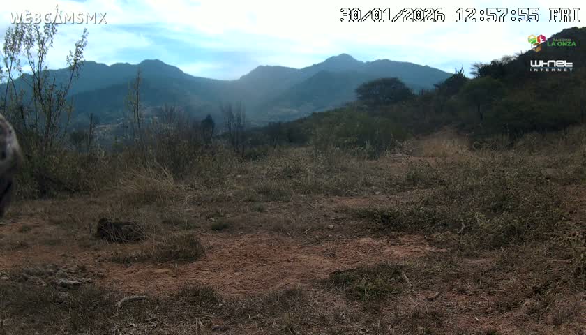 Rancho La Onza Bordo Natural Park Live Cam - San Luiz de la Paz, Guanajuato, Mexico