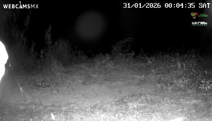 Rancho La Onza Bordo Natural Park Live Cam - San Luiz de la Paz, Guanajuato, Mexico