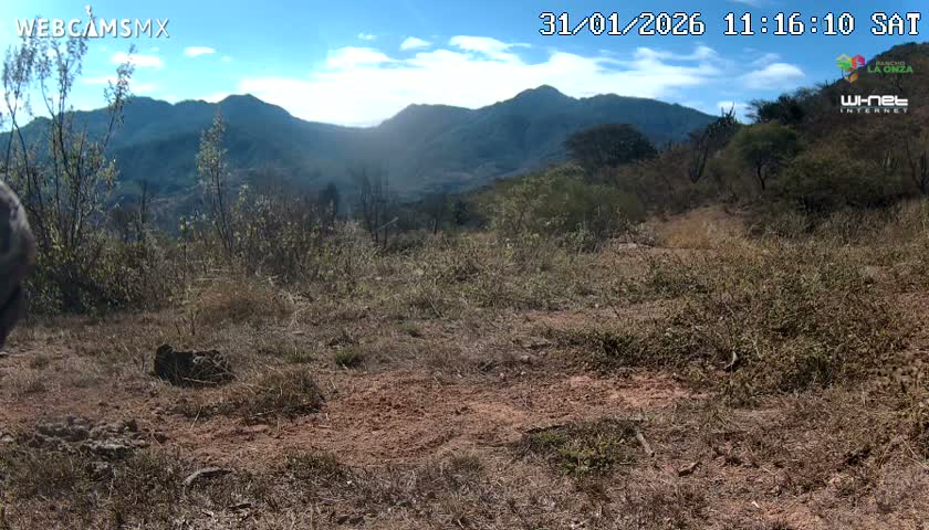 Rancho La Onza Bordo Natural Park Live Cam - San Luiz de la Paz, Guanajuato, Mexico
