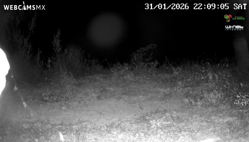 Rancho La Onza Bordo Natural Park Live Cam - San Luiz de la Paz, Guanajuato, Mexico