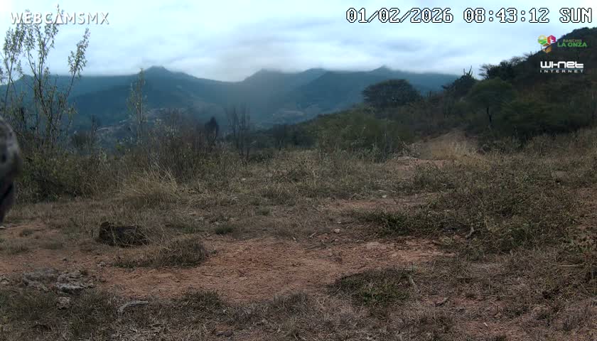 Rancho La Onza Bordo Natural Park Live Cam - San Luiz de la Paz, Guanajuato, Mexico