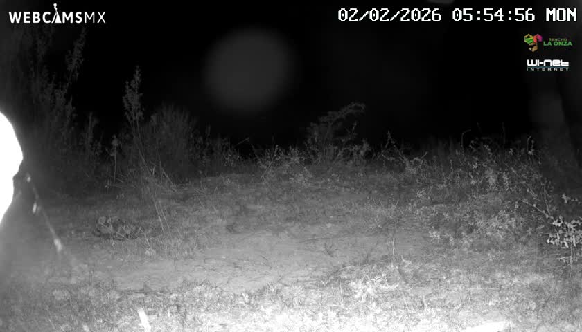 Rancho La Onza Bordo Natural Park Live Cam - San Luiz de la Paz, Guanajuato, Mexico