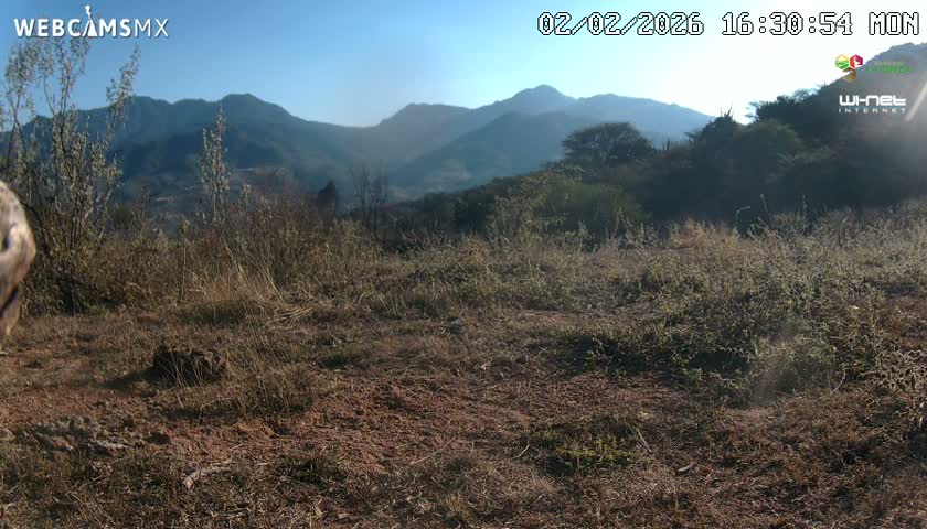 Rancho La Onza Bordo Natural Park Live Cam - San Luiz de la Paz, Guanajuato, Mexico
