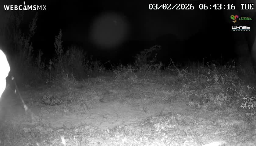 Rancho La Onza Bordo Natural Park Live Cam - San Luiz de la Paz, Guanajuato, Mexico