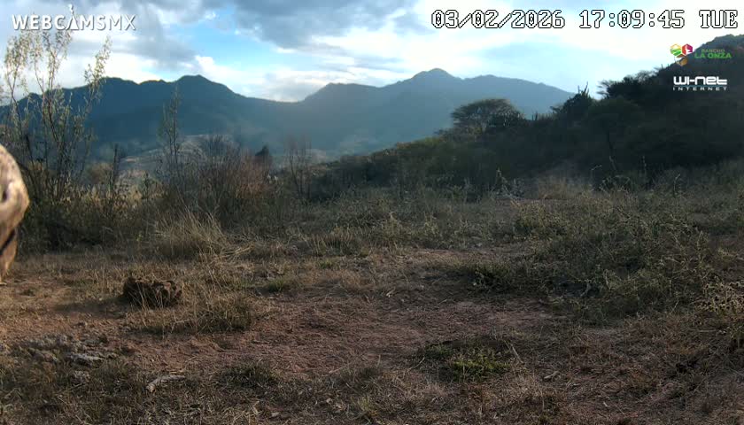 Rancho La Onza Bordo Natural Park Live Cam - San Luiz de la Paz, Guanajuato, Mexico