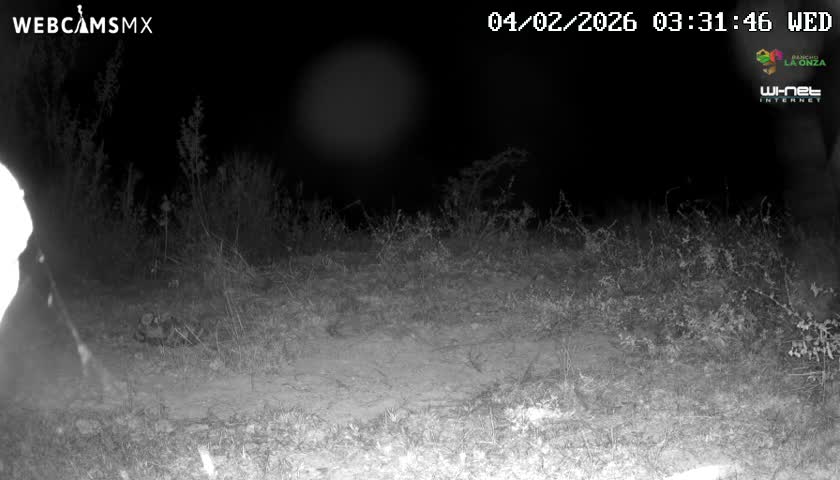 Rancho La Onza Bordo Natural Park Live Cam - San Luiz de la Paz, Guanajuato, Mexico