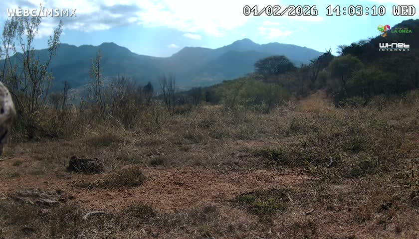 Rancho La Onza Bordo Natural Park Live Cam - San Luiz de la Paz, Guanajuato, Mexico