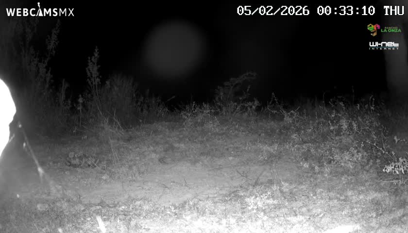 Rancho La Onza Bordo Natural Park Live Cam - San Luiz de la Paz, Guanajuato, Mexico