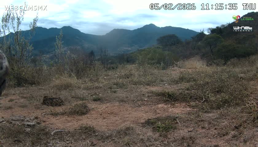 Rancho La Onza Bordo Natural Park Live Cam - San Luiz de la Paz, Guanajuato, Mexico