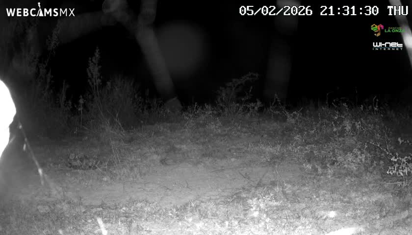 Rancho La Onza Bordo Natural Park Live Cam - San Luiz de la Paz, Guanajuato, Mexico