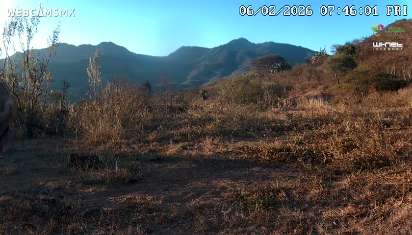 Rancho La Onza Bordo Natural Park Live Cam - San Luiz de la Paz, Guanajuato, Mexico