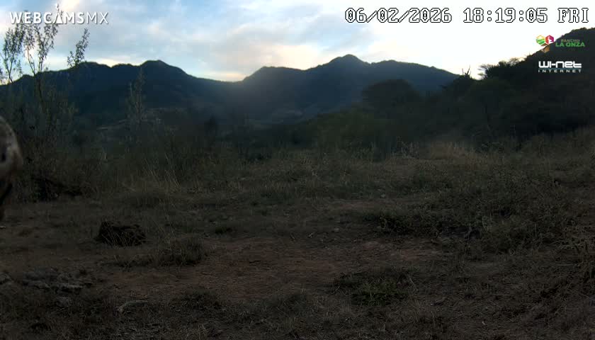 Rancho La Onza Bordo Natural Park Live Cam - San Luiz de la Paz, Guanajuato, Mexico
