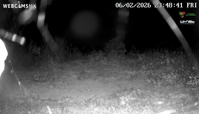 Rancho La Onza Bordo Natural Park Live Cam - San Luiz de la Paz, Guanajuato, Mexico