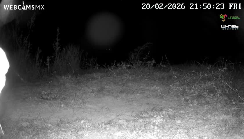 Rancho La Onza Bordo Natural Park Live Cam - San Luiz de la Paz, Guanajuato, Mexico