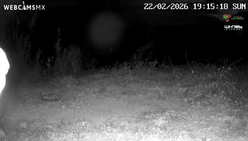 Rancho La Onza Bordo Natural Park Live Cam - San Luiz de la Paz, Guanajuato, Mexico