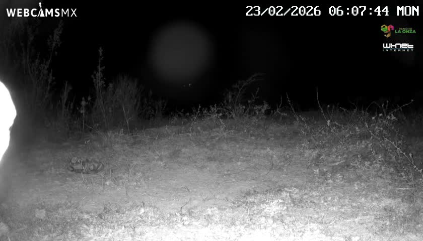 Rancho La Onza Bordo Natural Park Live Cam - San Luiz de la Paz, Guanajuato, Mexico
