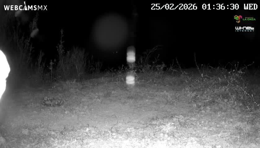Rancho La Onza Bordo Natural Park Live Cam - San Luiz de la Paz, Guanajuato, Mexico