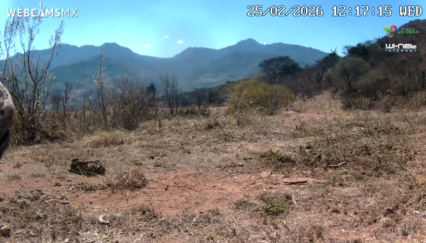 Rancho La Onza Bordo Natural Park Live Cam - San Luiz de la Paz, Guanajuato, Mexico