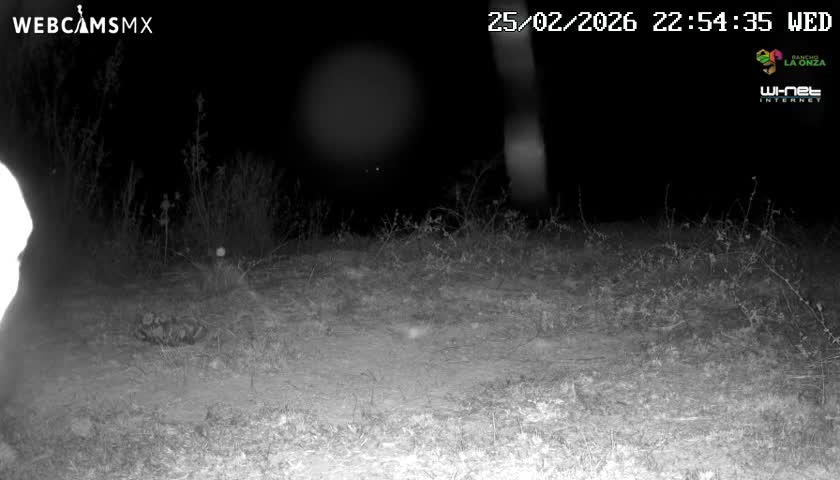 Rancho La Onza Bordo Natural Park Live Cam - San Luiz de la Paz, Guanajuato, Mexico