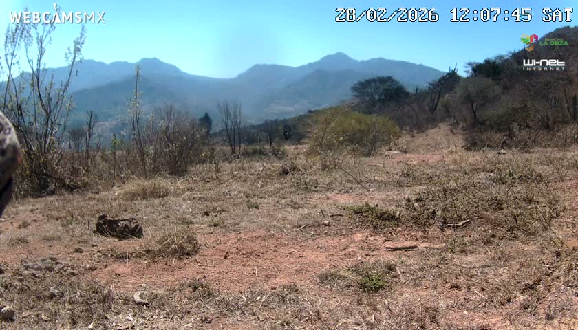 Rancho La Onza Bordo Natural Park Live Cam - San Luiz de la Paz, Guanajuato, Mexico