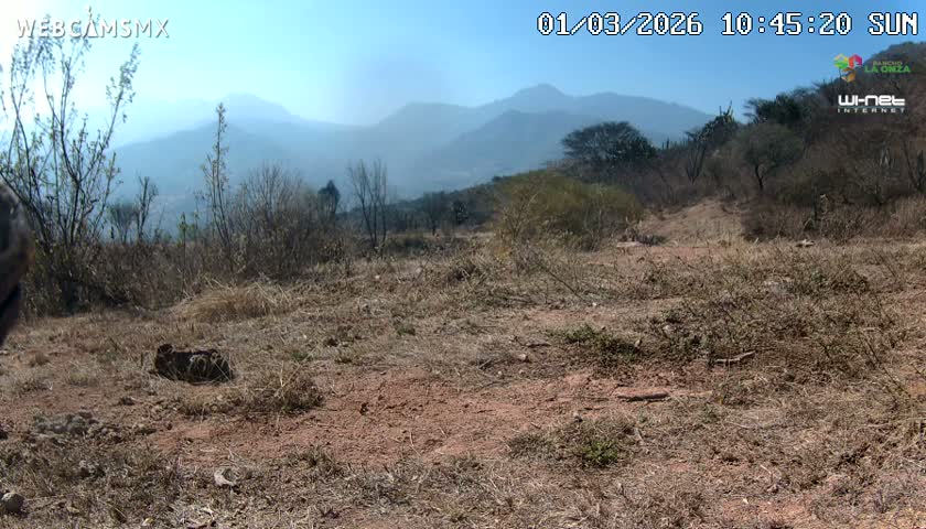 Rancho La Onza Bordo Natural Park Live Cam - San Luiz de la Paz, Guanajuato, Mexico