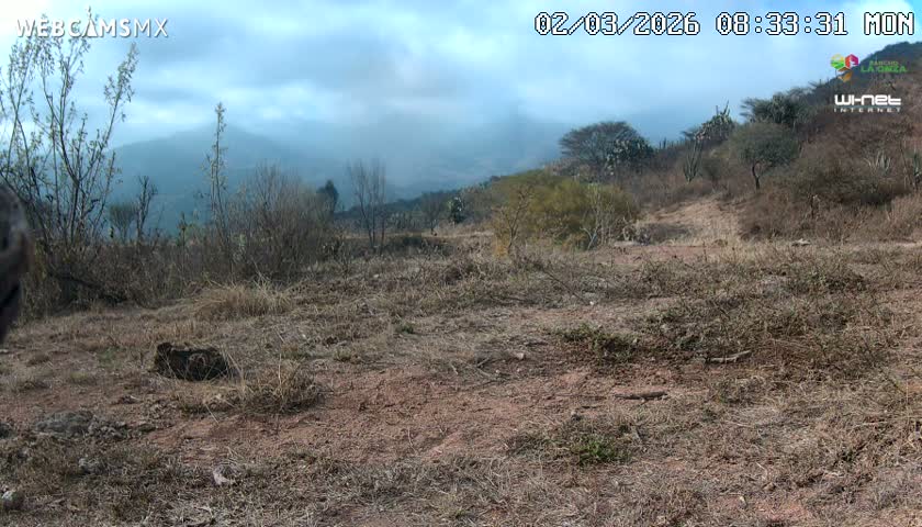 Rancho La Onza Bordo Natural Park Live Cam - San Luiz de la Paz, Guanajuato, Mexico