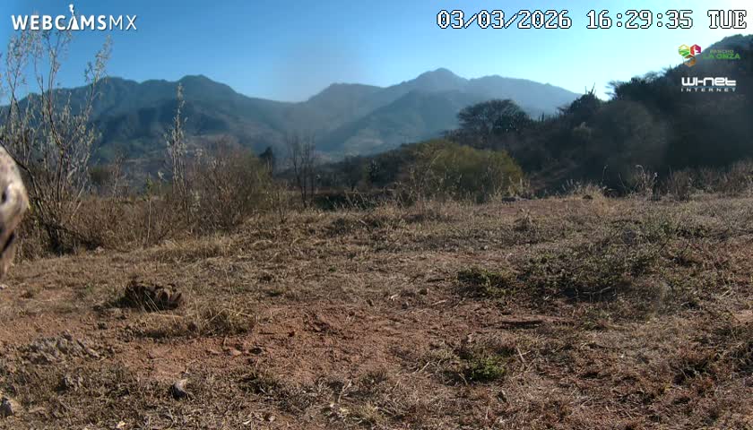 Rancho La Onza Bordo Natural Park Live Cam - San Luiz de la Paz, Guanajuato, Mexico