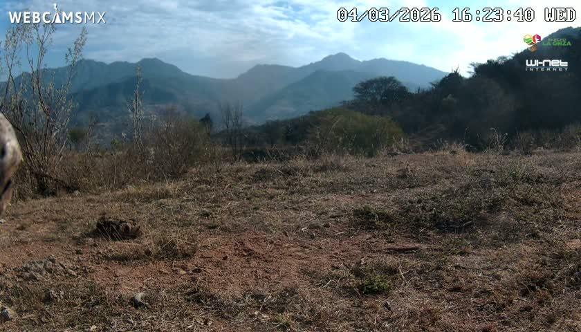 Rancho La Onza Bordo Natural Park Live Cam - San Luiz de la Paz, Guanajuato, Mexico