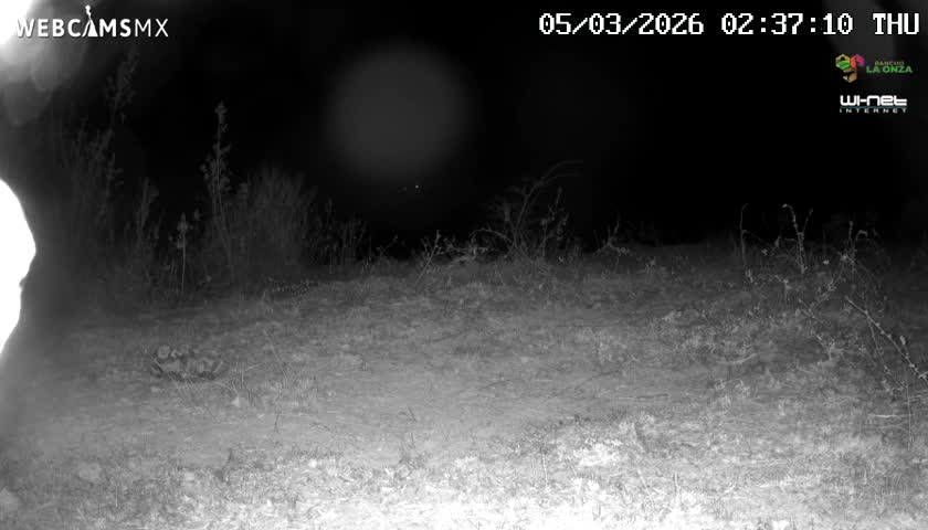Rancho La Onza Bordo Natural Park Live Cam - San Luiz de la Paz, Guanajuato, Mexico