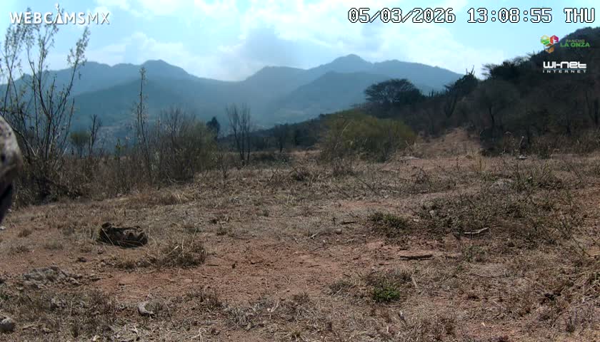 Rancho La Onza Bordo Natural Park Live Cam - San Luiz de la Paz, Guanajuato, Mexico