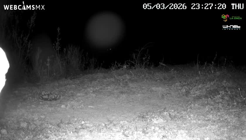 Rancho La Onza Bordo Natural Park Live Cam - San Luiz de la Paz, Guanajuato, Mexico