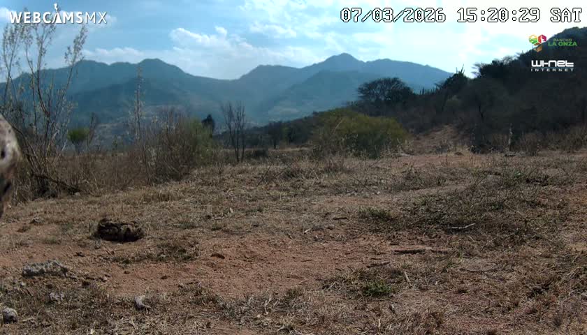 Rancho La Onza Bordo Natural Park Live Cam - San Luiz de la Paz, Guanajuato, Mexico