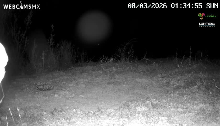Rancho La Onza Bordo Natural Park Live Cam - San Luiz de la Paz, Guanajuato, Mexico