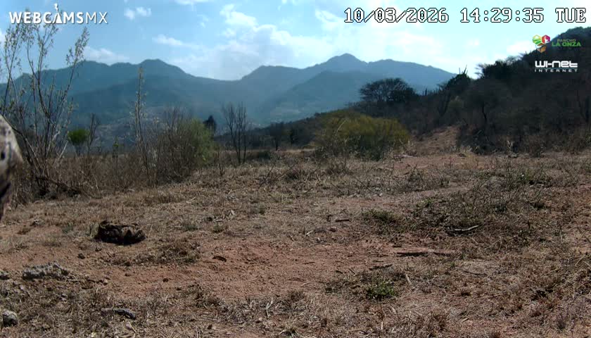 Rancho La Onza Bordo Natural Park Live Cam - San Luiz de la Paz, Guanajuato, Mexico