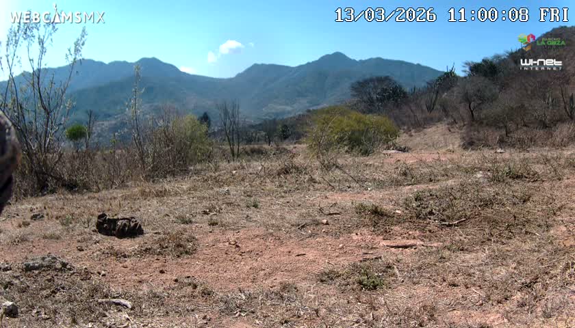 Rancho La Onza Bordo Natural Park Live Cam - San Luiz de la Paz, Guanajuato, Mexico