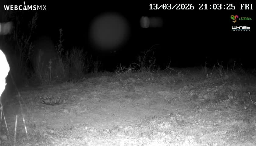 Rancho La Onza Bordo Natural Park Live Cam - San Luiz de la Paz, Guanajuato, Mexico