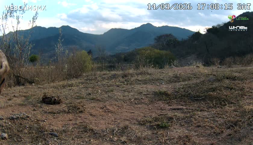 Rancho La Onza Bordo Natural Park Live Cam - San Luiz de la Paz, Guanajuato, Mexico