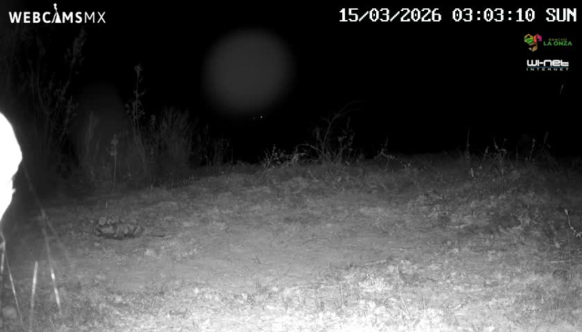 Rancho La Onza Bordo Natural Park Live Cam - San Luiz de la Paz, Guanajuato, Mexico