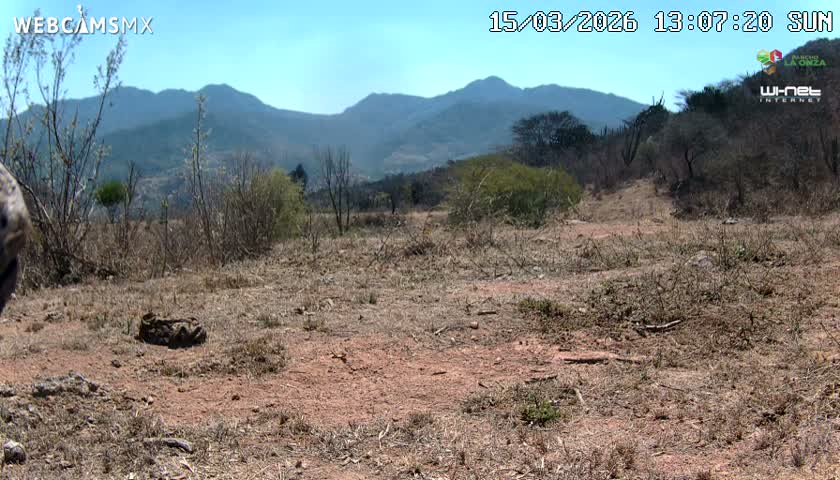 Rancho La Onza Bordo Natural Park Live Cam - San Luiz de la Paz, Guanajuato, Mexico