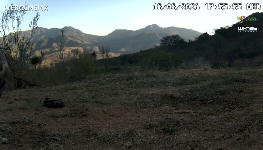 Rancho La Onza Bordo Natural Park Live Cam - San Luiz de la Paz, Guanajuato, Mexico