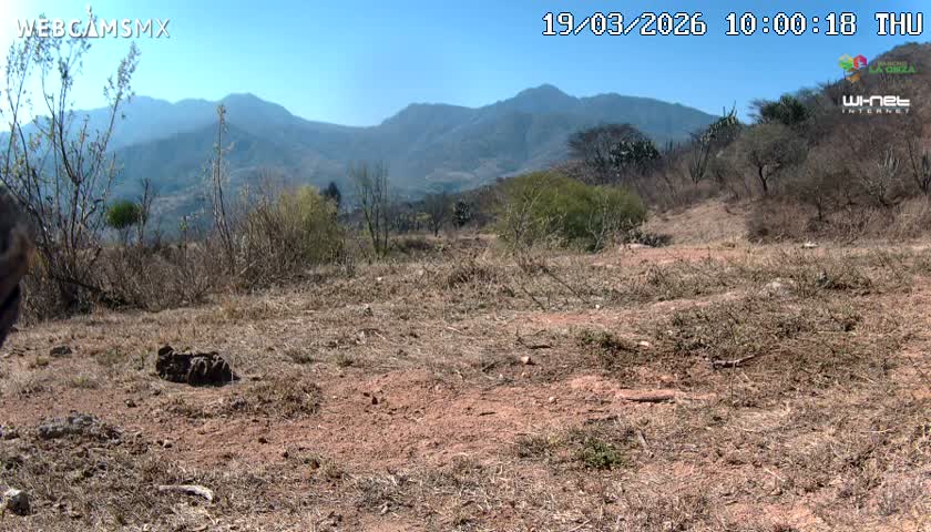 Rancho La Onza Bordo Natural Park Live Cam - San Luiz de la Paz, Guanajuato, Mexico