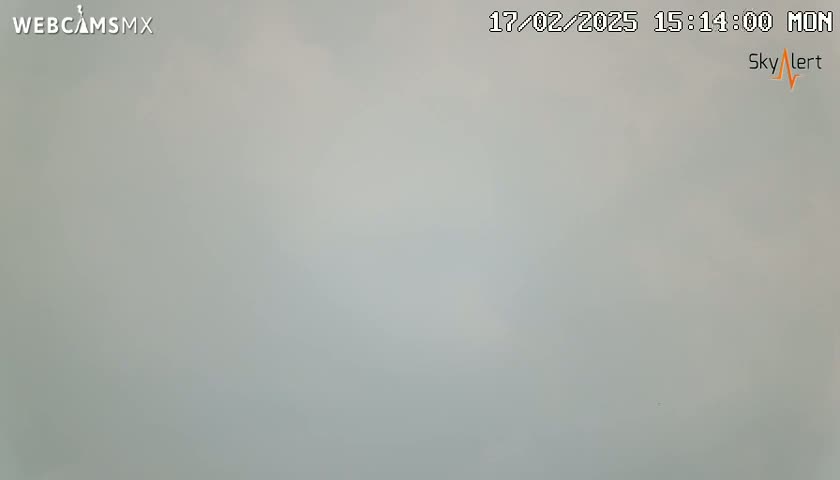 A mostly featureless, light gray scene is visible under hazy or foggy conditions.